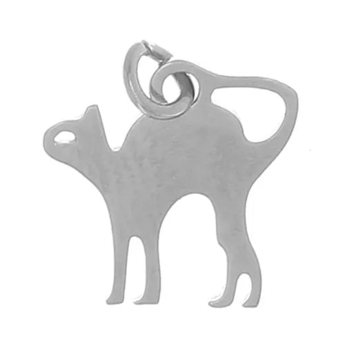 Charm - Shell