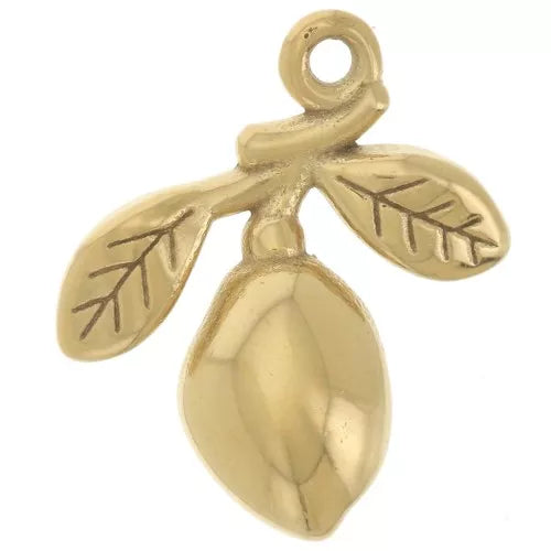 Charm - Shell