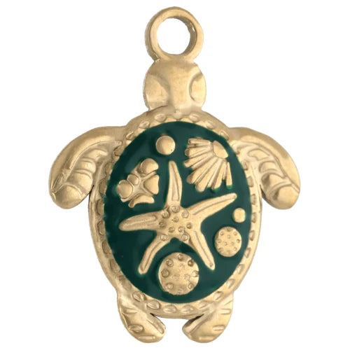 Charm - Shell