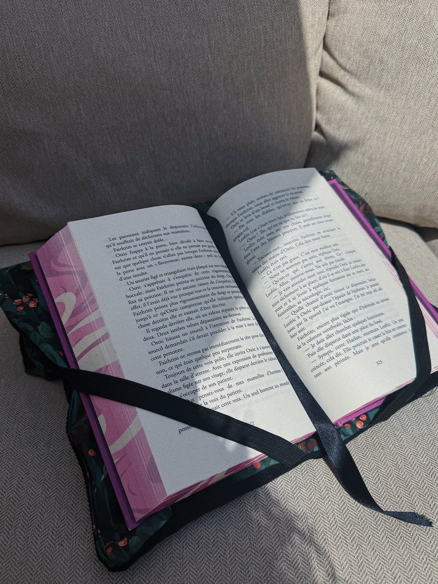 Coussin de lecture transportable