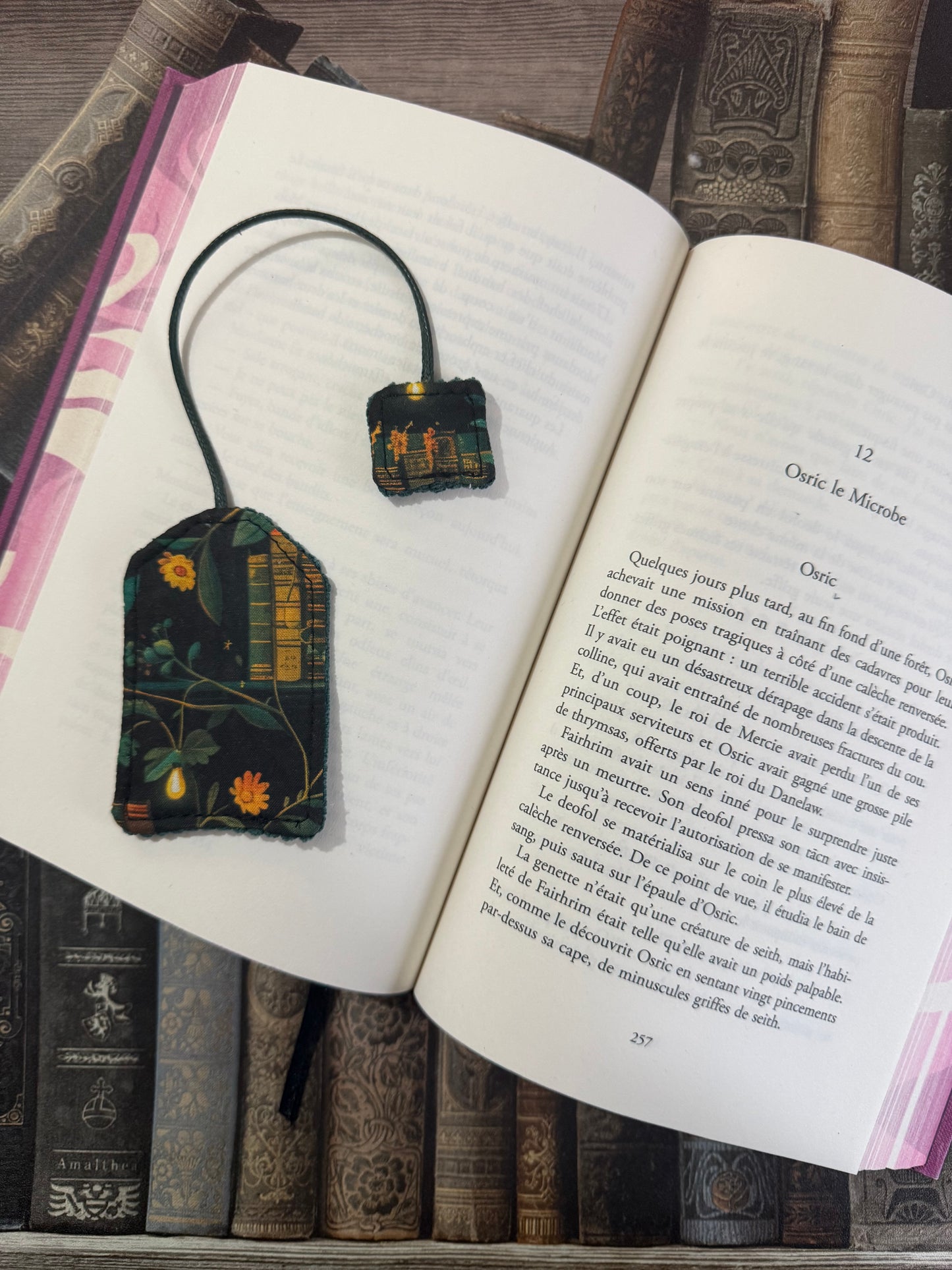 Le marque page - bibliothèque
