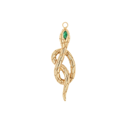 Charm - Muschel