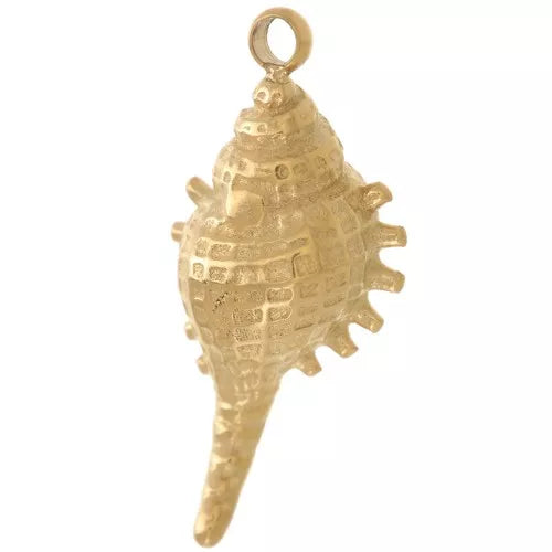 Charm - Shell