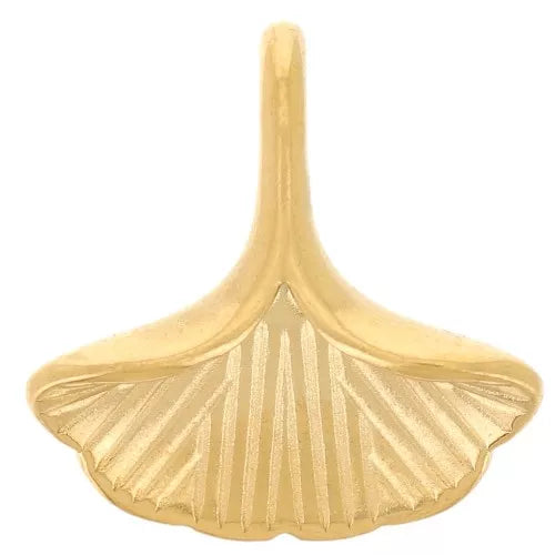 Charm - Shell