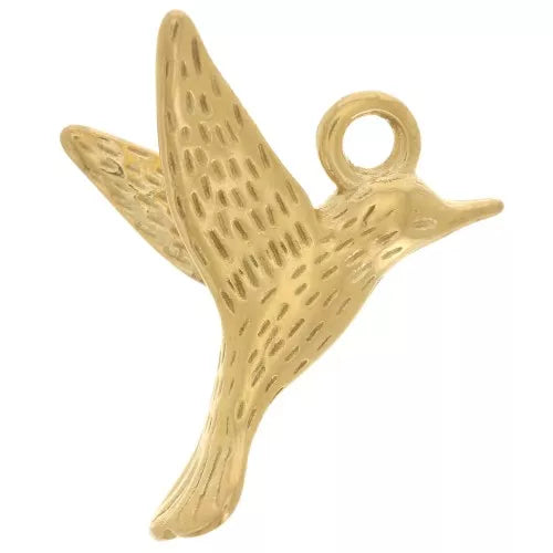 Charm - Shell