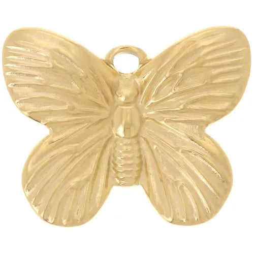 Charm - Shell
