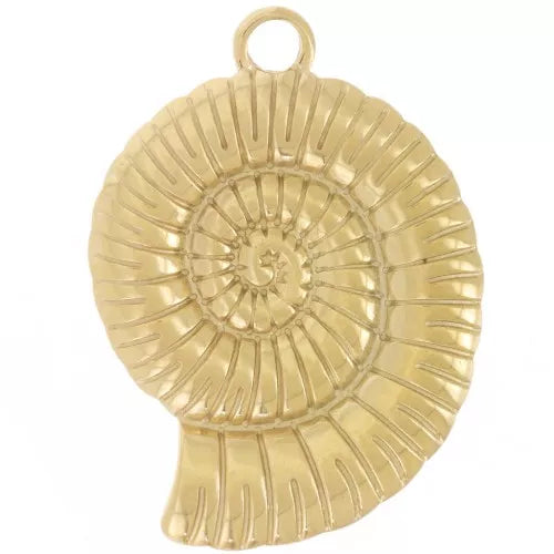 Charm - Shell
