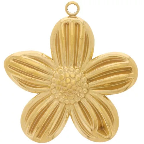 Charm - Shell