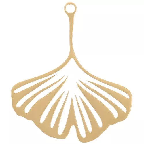 Charm - Shell